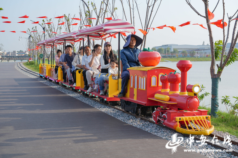 农文旅融合 绘就和美乡村新图景开元棋牌安徽往前赶 智慧农业+(图5)